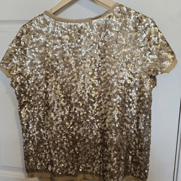 Talbots Woman's NWT GOLD  SS Sequin Silk Lined  Blouse Sz 10P - Picture 7 of 12